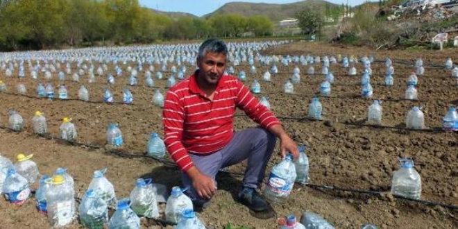 Yozgatlı çiftçi fidelerini pet şişelerle soğuktan korudu