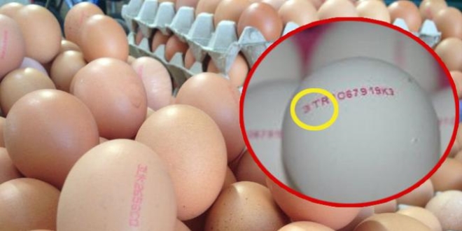 Yumurta üreticileri kod uygulamasından memnun