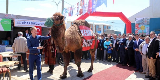 Açık artırmada satıldı, fiyatı dudak uçuklattı