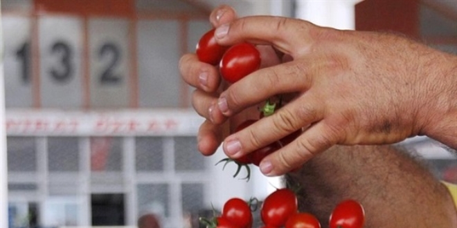 Ruslardan 5 Türk şirketine daha izin