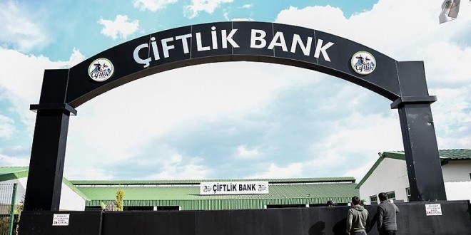 Çiftlikbank'ın yazılımcısı Cudi Cumhur yakalandı!