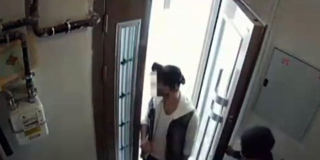 Hırsız reddetti, avukatlığını yapan ablası: Görüntülerdeki malesef kardeşim
