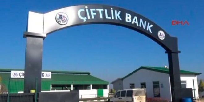 Çiftlik Bank'ın yazılımcısı tutuklandı
