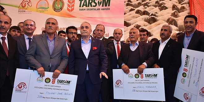 '300 koyun projesi' Şırnak'ta başladı