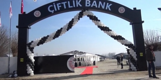 Çiftlik Bank'ın beyni Türkiye'ye getirildi