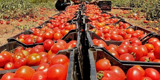 Rusya ve Trkiye'nin domatese ortak denetimi 10 Mays'ta balyor
