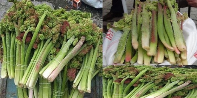 Canan Karatay en sağlıklı yemeği açıkladı