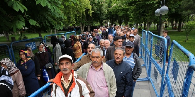Bu kuyruk organik domates fidesi için