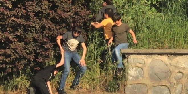 Şişli'de çocukların tehlikeli erik oyunu