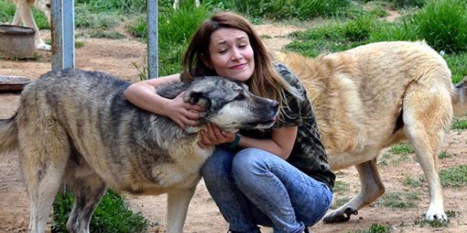 Fatma öğretmen sokak hayvanları için yollarda