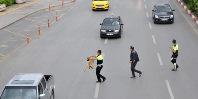 Köpeğe yardım etti, ayın polisi seçildi
