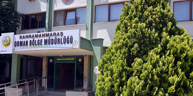 Orman yangınına hapis ve 84 bin lira zarar cezası