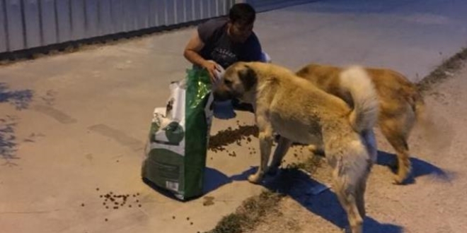Herkes iftar yaparken onlar sokak hayvanlarını besliyor