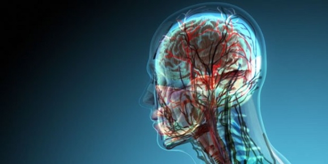 Konuşma engelli hastalar için beyin implantı