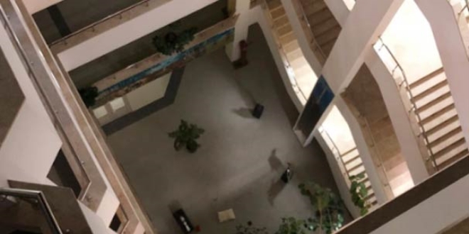 Hacettepe Üniversitesi yurdunda iki kediyi 5. kattan attılar!