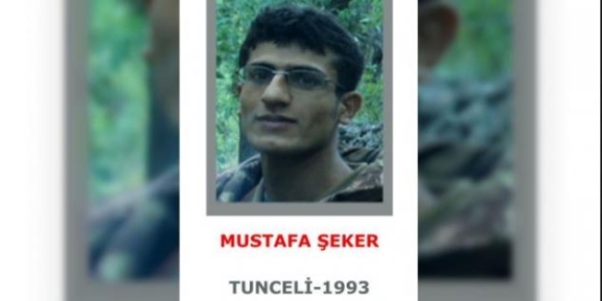 Tunceli'de çatışma: Gri listedeki terörist öldürüldü