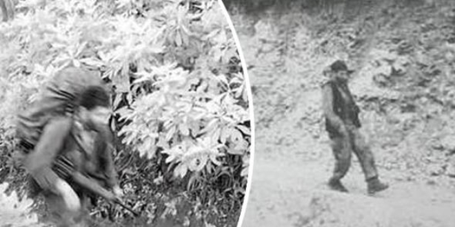 Öldürülmeden fotokapana yakalanmışlar
