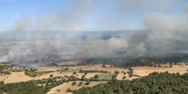 Çanakkale'de orman yangını