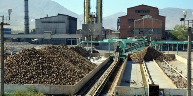 Özelleştirme Yüksek Kurulu 2 şeker fabrikasının satışını onayladı