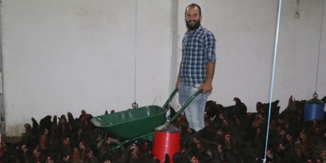 Bankacılığı bıraktı tavuk çiftliği kurdu