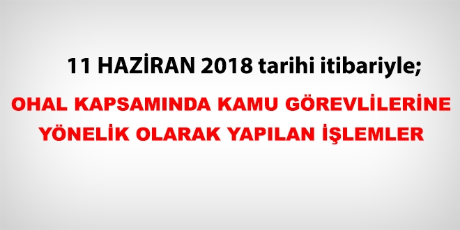 11 Haziran 2018 tarihi itibariyle haklarında işlem yapılan kamu personeli