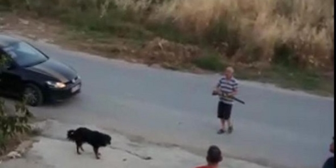 Sokak köpeklerine ateş eden kişiler tekrar gözaltında