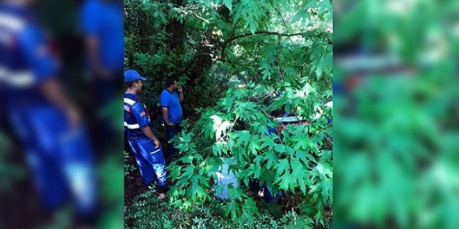 Fotoğraf çekmek isterken gölete düşüp boğuldu