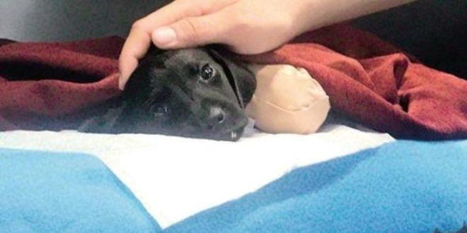 Greyder operatörünün eşi isyan etti: Gerçek cani saklanıyor