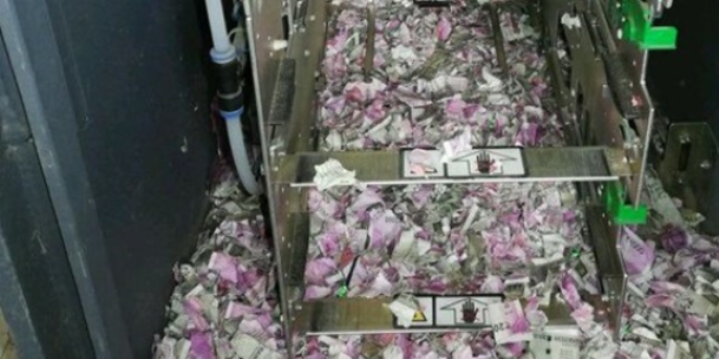 Fareler ATM'deki parayı yedi