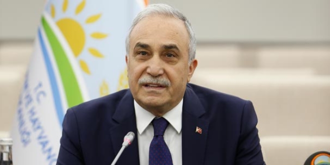 'Dünya gözünü açmış Türkiye'deki seçime bakıyor'