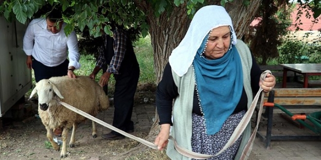 Bayram ikramiyesiyle aldığı kurbanı Erdoğan kazanınca kesti