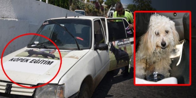 Antalya polisi otomobilde aç, susuz ve havasız bırakılan köpeği kurtardı