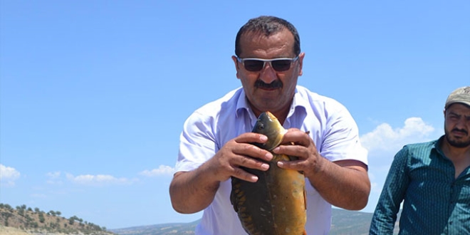 Manisa'da üretilen 'aynalı sazan' avrupa sofralarında