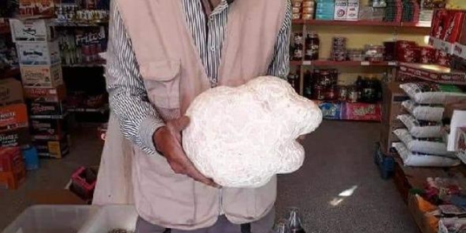 6 kiloluk mantarı görenler şaşırıyor