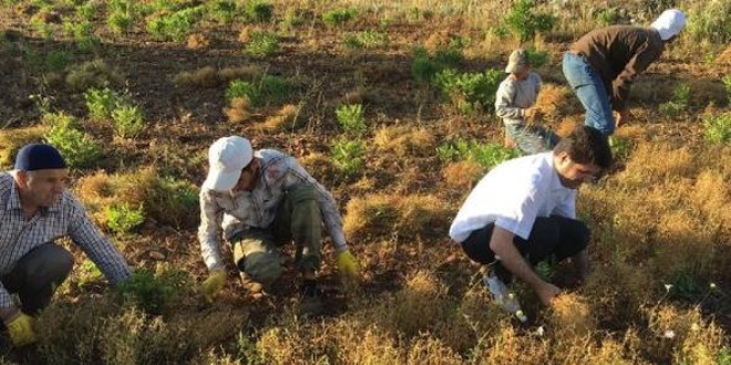 Vekillik bitince, köydeki tarla işlerine döndü