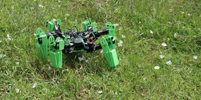 Askeri operasyonlar için örümcek robot geliştirdiler