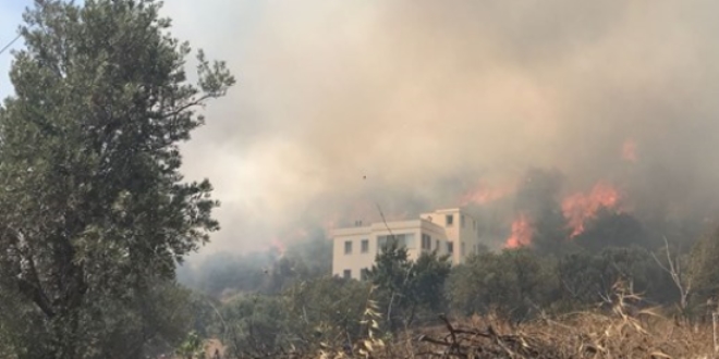 Bodrum'da makilik alanda korkutan yangn