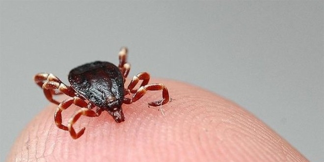 Antalya'da KKKA'dan bir ölüm daha