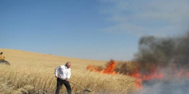Biçerdöverden sıçrayan kıvılcım mahsulü kül etti