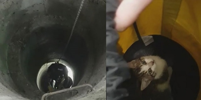 3 gündür kuyuda mahsur kalan kediyi, AFAD kurtardı