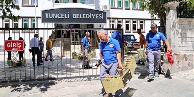 Vali Sonel'den ayakkabı boyacılarına jest