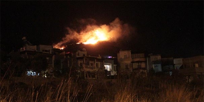 Bodrum'da tarım arazisi ve otluk alanda yangın