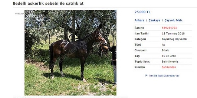 Bedelli askerlik için at satıyor