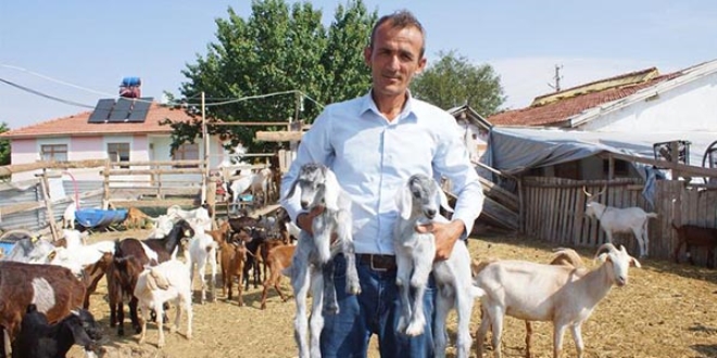 Stresten kurtulmak için başladı! Şimdi işi oldu