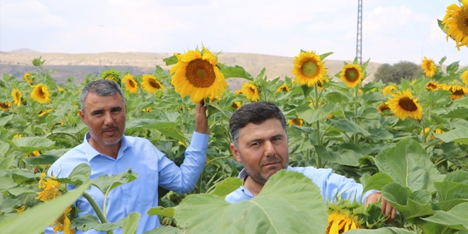 Çin Türkiye'yi çekirdek ile vurdu