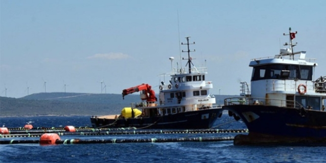 Sözde çevreciler ÇED toplantısını basıp yatırımı engellediler