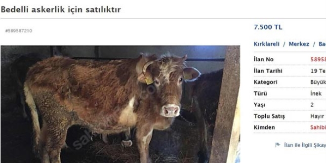 Bu kez ilanlar bedelli askerlikten faydalanabilmek için verildi