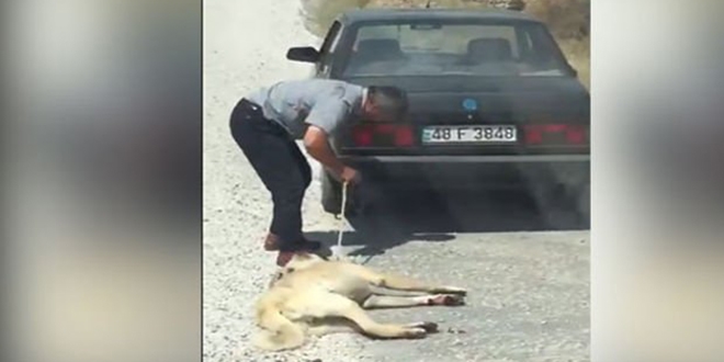 Sosyal medya ayağa kalktı, polis her yerde onu arıyor