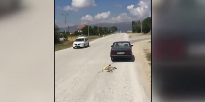Köpeği otomobiliyle sürükleyen kişi serbest bırakıldı