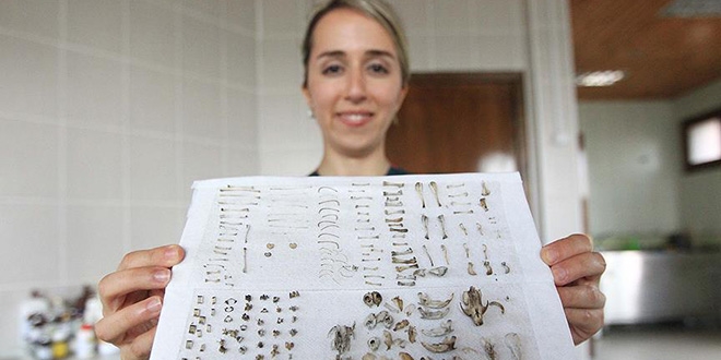 'Kemik koleksiyoncusu' veteriner hekim